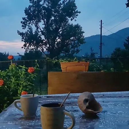 долината на вълчицата The Wolf